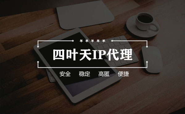 【普洱代理IP】如何快速搭建代理IP？怎么检查代理的效果？